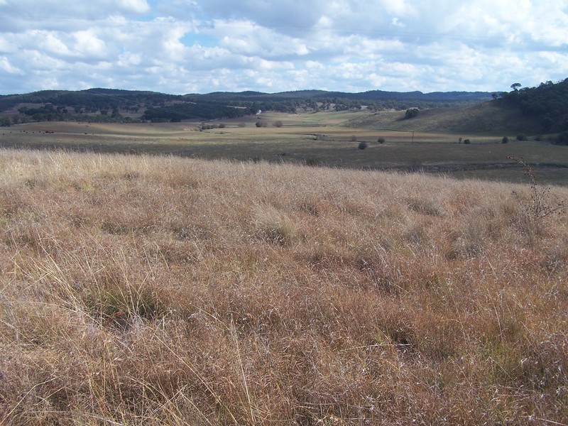 “Turrallo Creek” Back Arm Road, Middle Arm NSW 2580