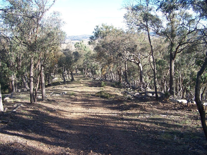 “Turrallo Creek” Back Arm Road, Middle Arm NSW 2580