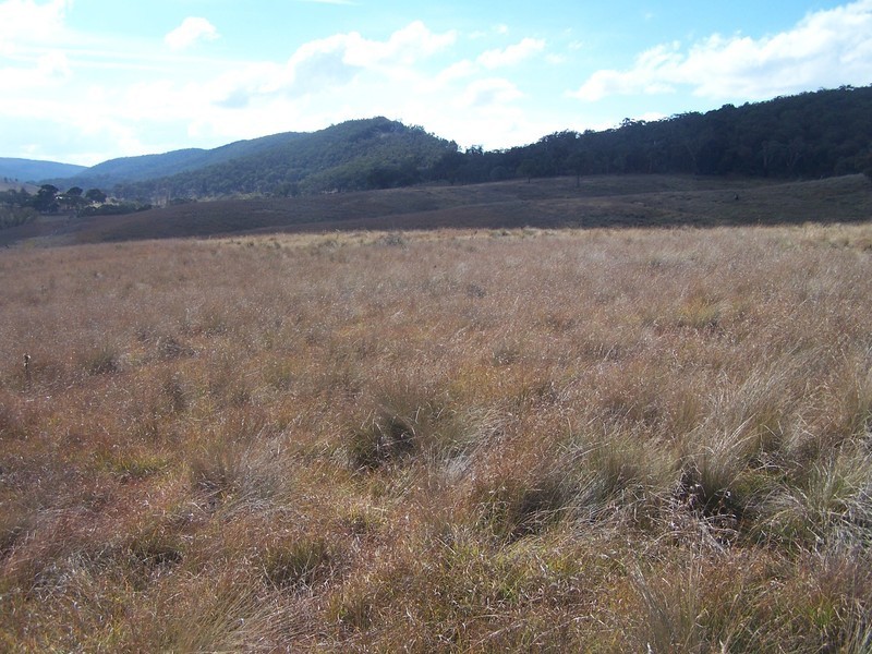 “Turrallo Creek” Back Arm Road, Middle Arm NSW 2580