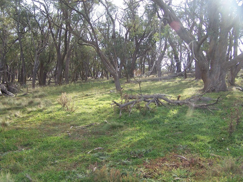 “Turrallo Creek” Back Arm Road, Middle Arm NSW 2580