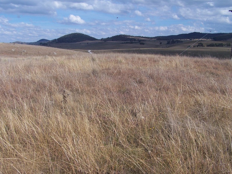 “Turrallo Creek” Back Arm Road, Middle Arm NSW 2580
