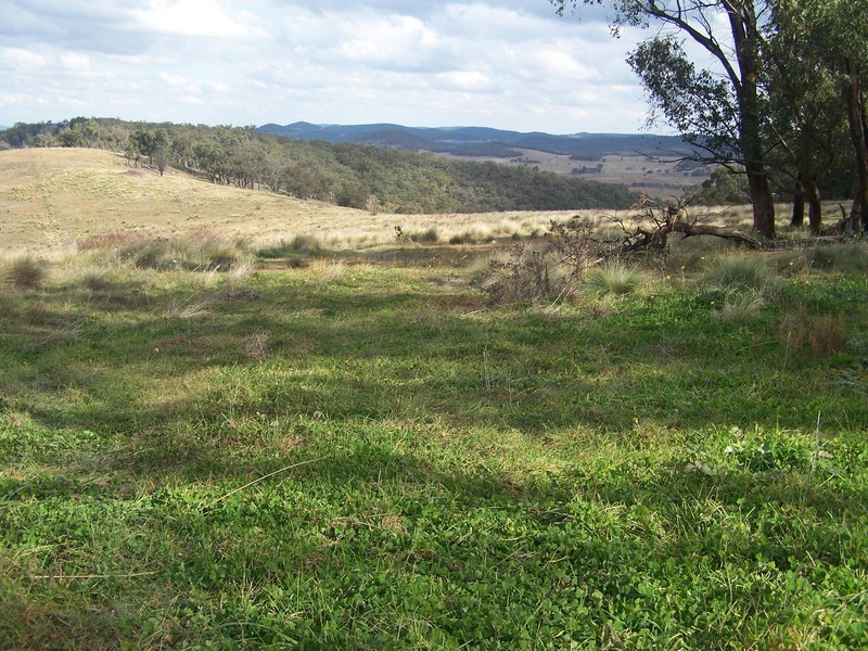 “Turrallo Creek” Back Arm Road, Middle Arm NSW 2580