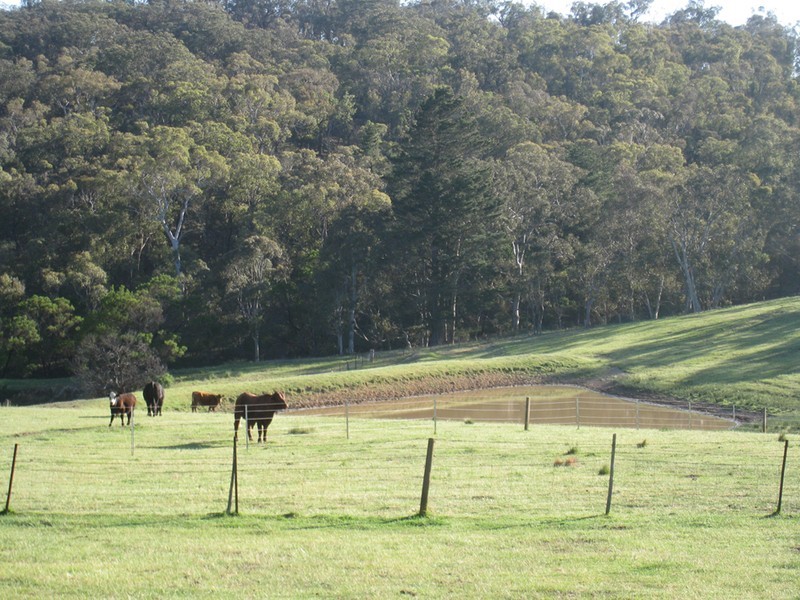 77 Hanworth Road, Bannaby NSW 2580