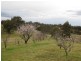 77 Hanworth Road, Bannaby NSW 2580