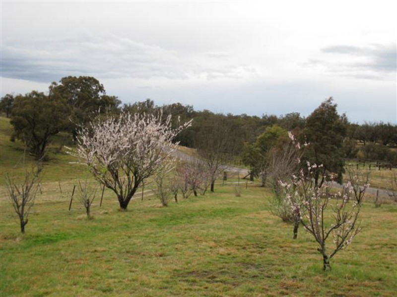 77 Hanworth Road, Bannaby NSW 2580