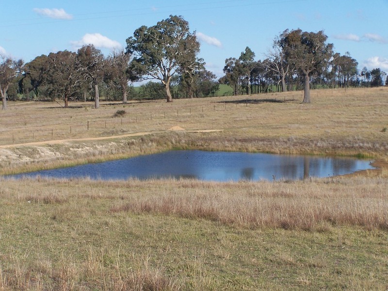 362 Sylvia Vale Road, Binda NSW 2583