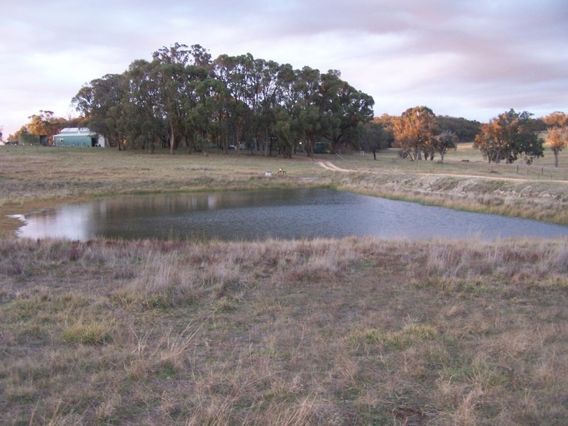 362 Sylvia Vale Road, Binda NSW 2583