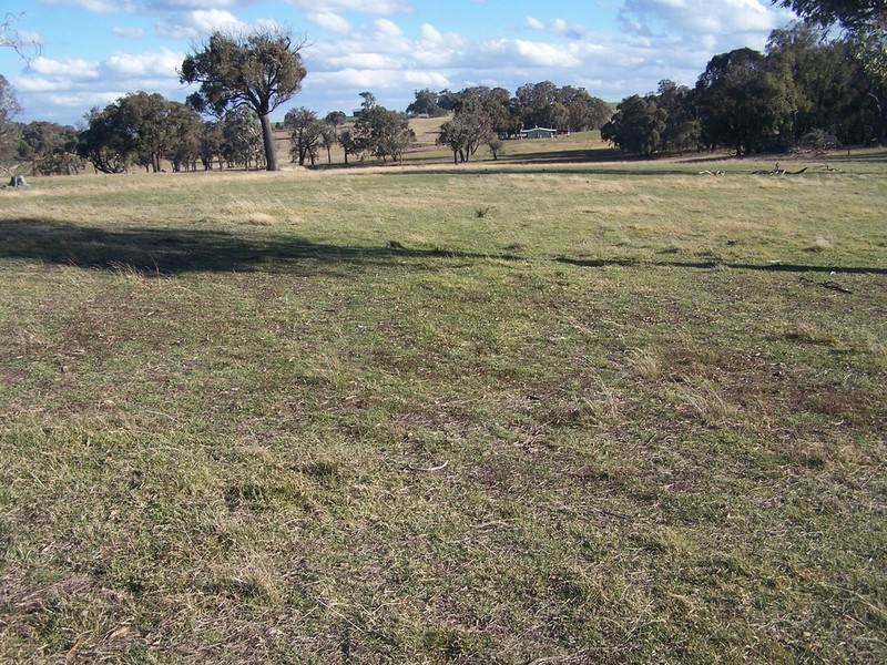 362 Sylvia Vale Road, Binda NSW 2583