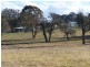 362 Sylvia Vale Road, Binda NSW 2583