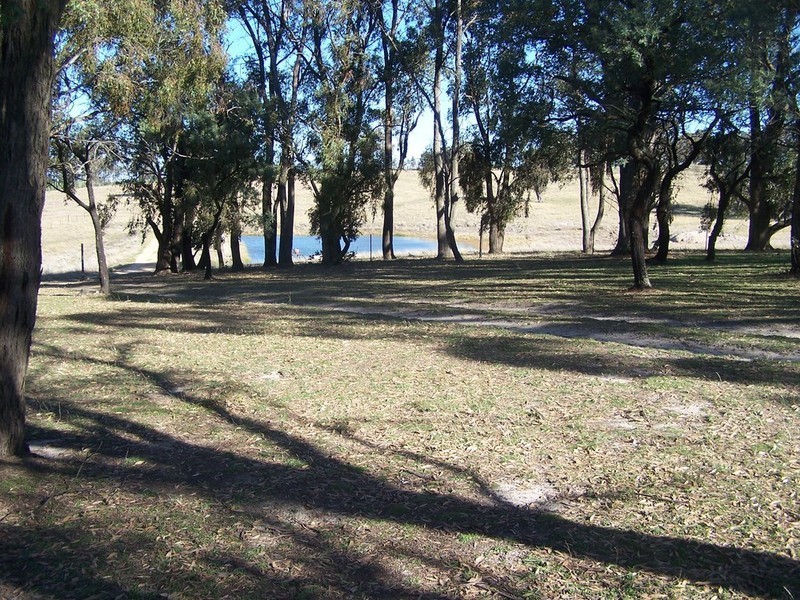362 Sylvia Vale Road, Binda NSW 2583