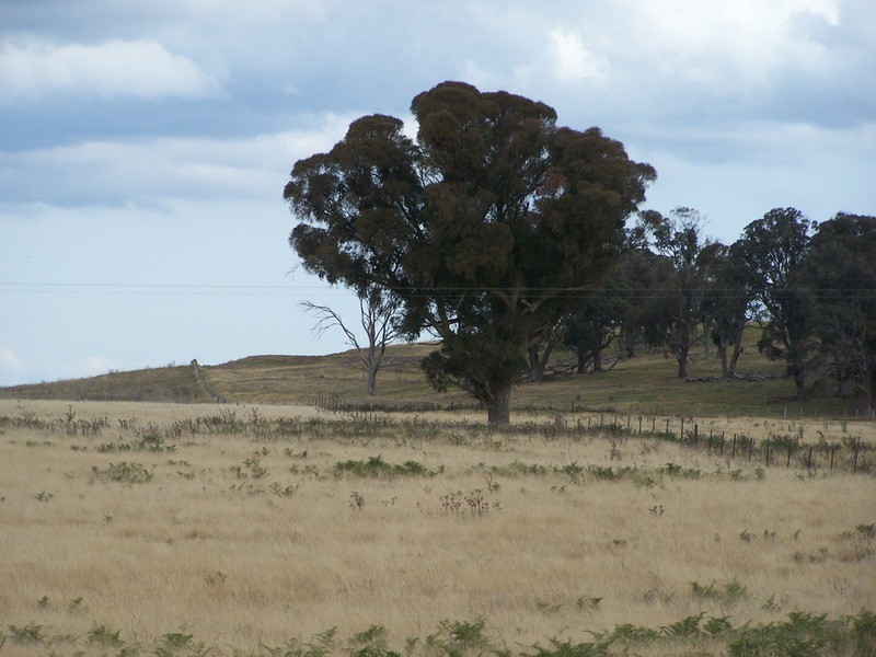 Lot 23 Strathaird Lane, Taralga NSW 2580