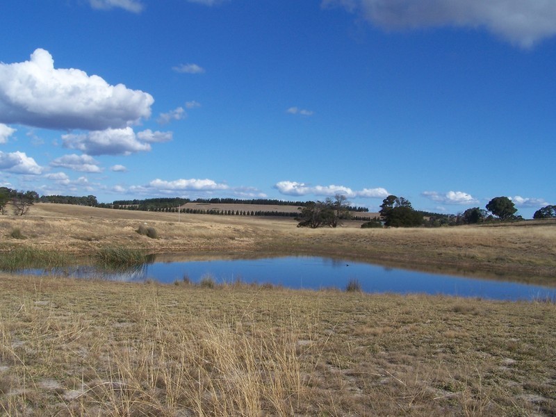 899 Glenoval Road, Lake Bathurst NSW 2580