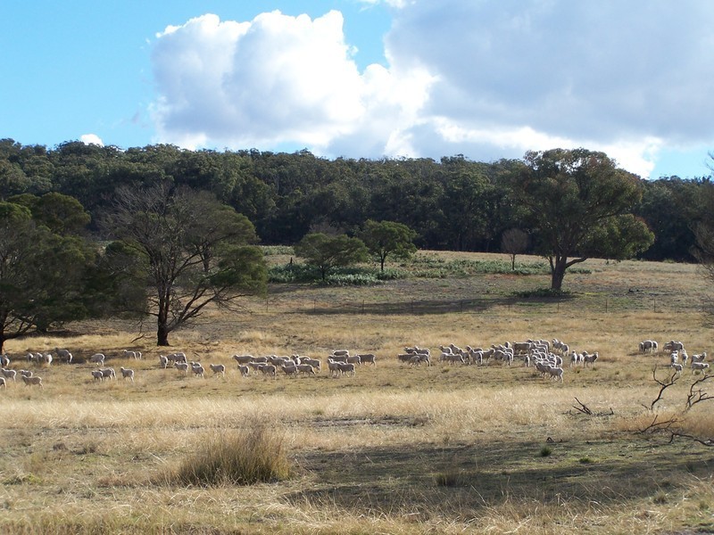 899 Glenoval Road, Lake Bathurst NSW 2580