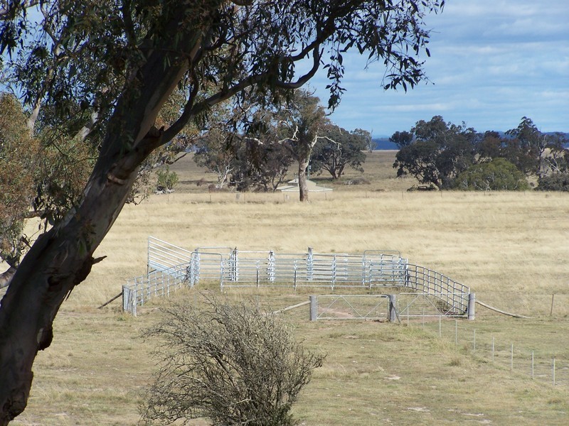 251 Shaws Creek Street, Goulburn NSW 2580