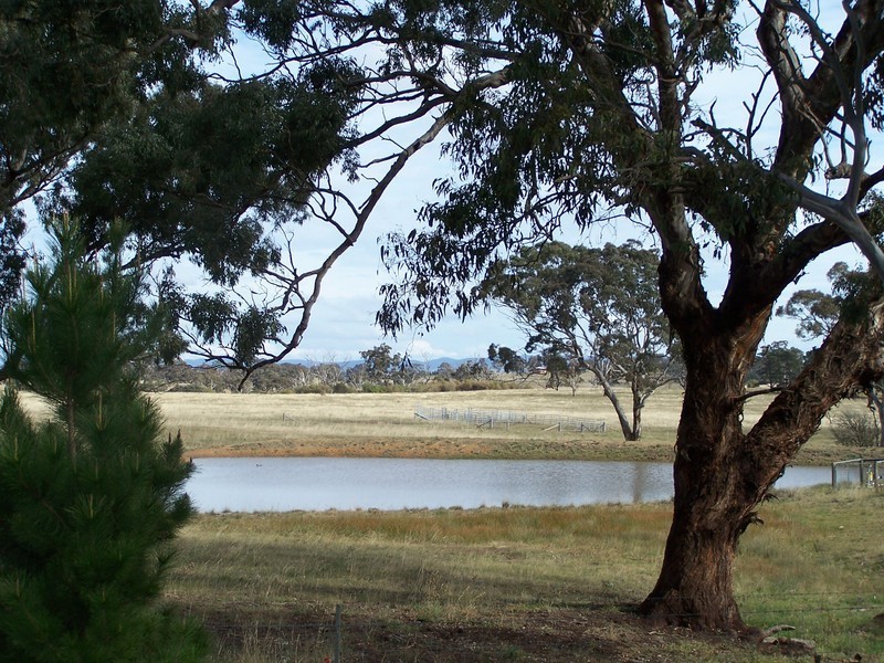 251 Shaws Creek Street, Goulburn NSW 2580