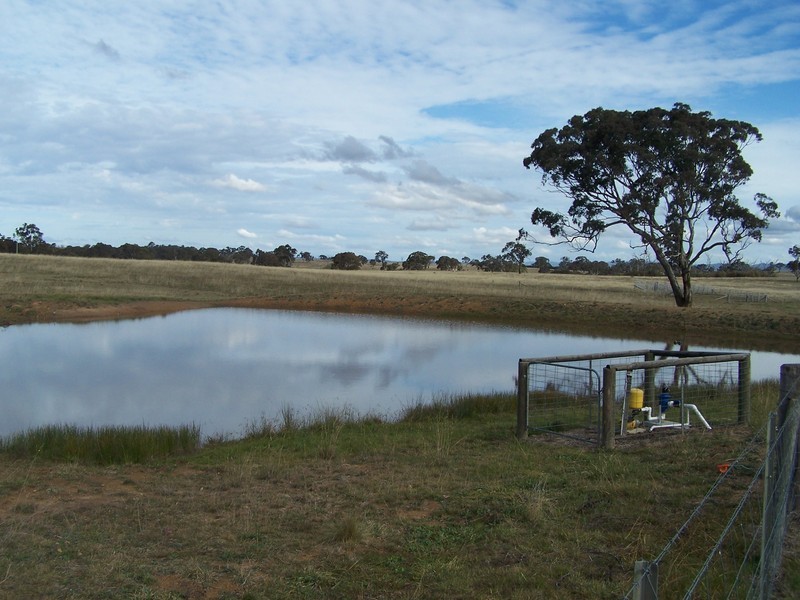 251 Shaws Creek Street, Goulburn NSW 2580