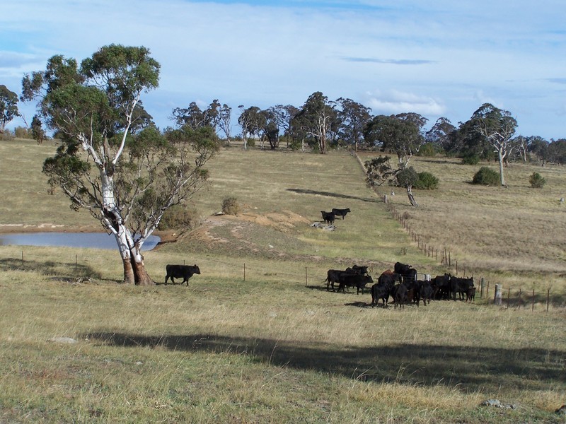 251 Shaws Creek Street, Goulburn NSW 2580