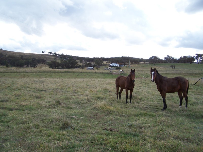 1434 Pomeroy Road, Goulburn NSW 2580