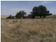 2263 Woodhouselee Road, Laggan NSW 2583