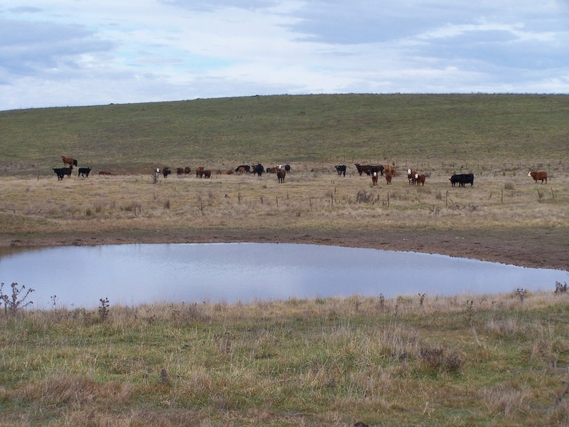 2264 Woodhouselee Road, Laggan NSW 2583