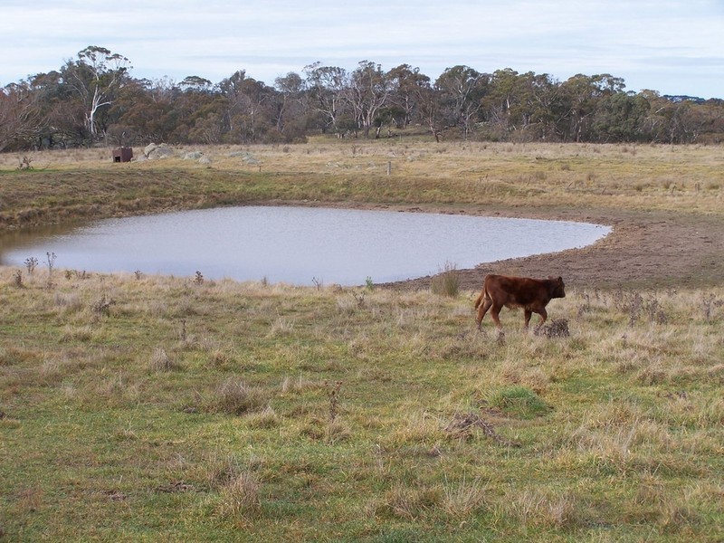 2264 Woodhouselee Road, Laggan NSW 2583