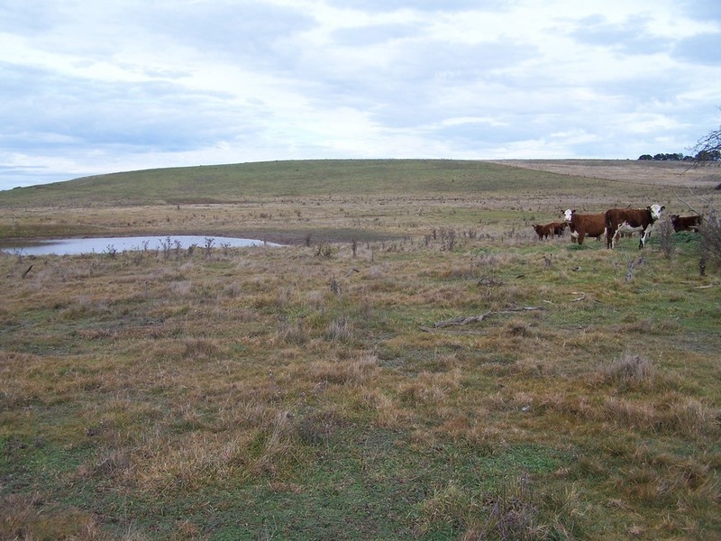 2264 Woodhouselee Road, Laggan NSW 2583