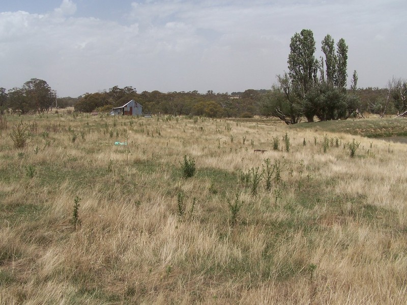 2264 Woodhouselee Road, Laggan NSW 2583