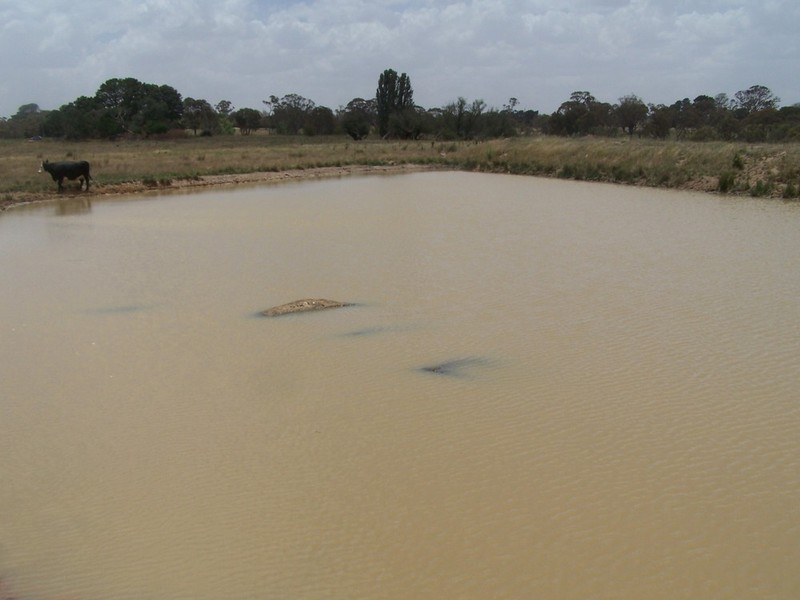 2264 Woodhouselee Road, Laggan NSW 2583