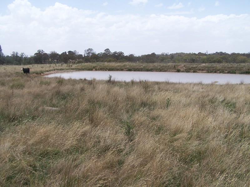 2264 Woodhouselee Road, Laggan NSW 2583