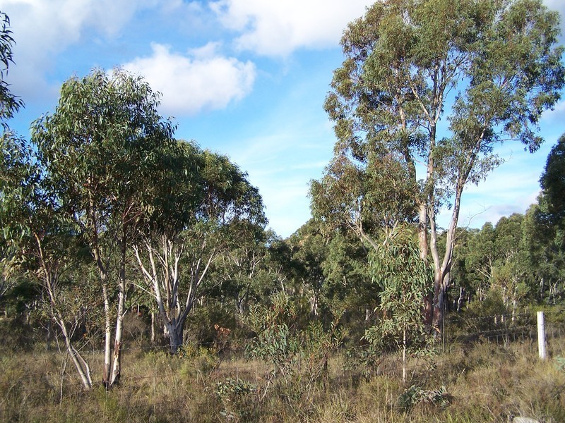 24 Redgum Drive, Tallong NSW 2579