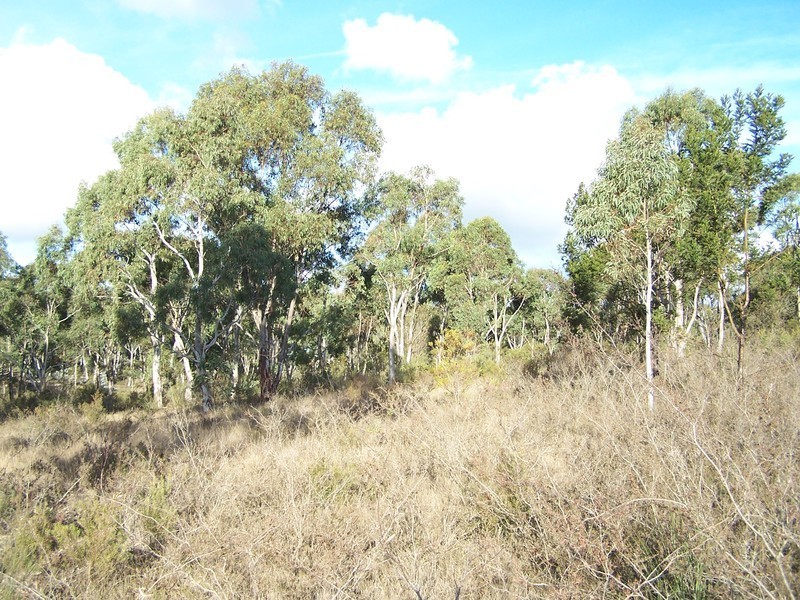 24 Redgum Drive, Tallong NSW 2579