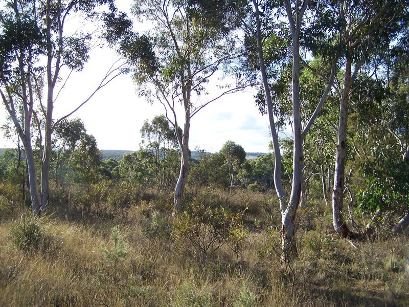 24 Redgum Drive, Tallong NSW 2579