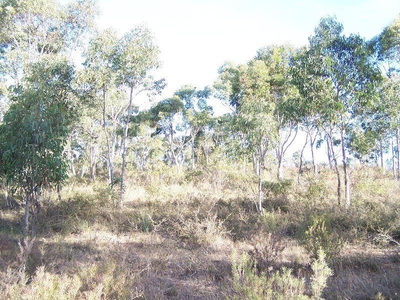 24 Redgum Drive, Tallong NSW 2579