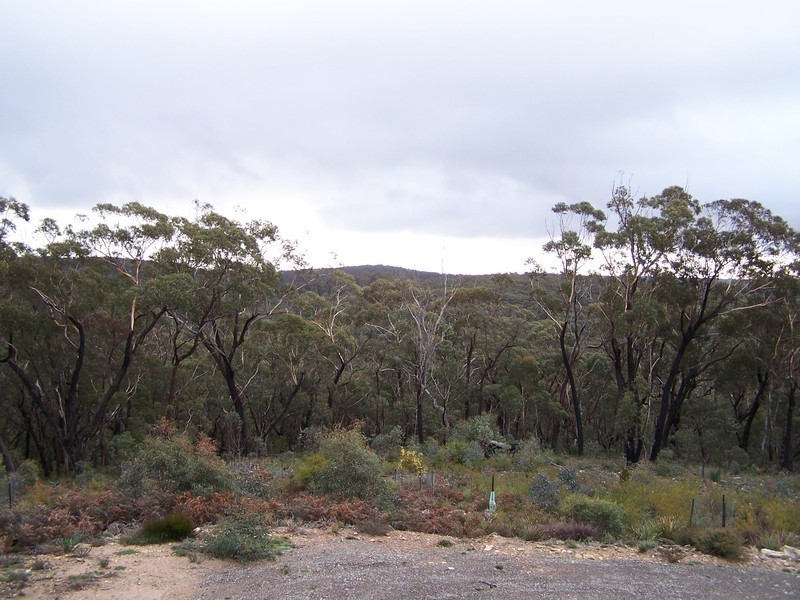 1482 Wombeyan Caves Road, Taralga NSW 2580