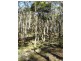 1482 Wombeyan Caves Road, Taralga NSW 2580