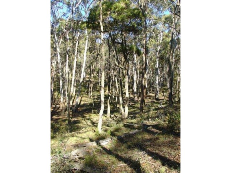 1482 Wombeyan Caves Road, Taralga NSW 2580