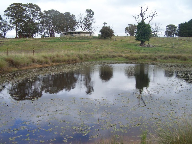 Lot 1 Suffolk Street, Binda NSW 2583