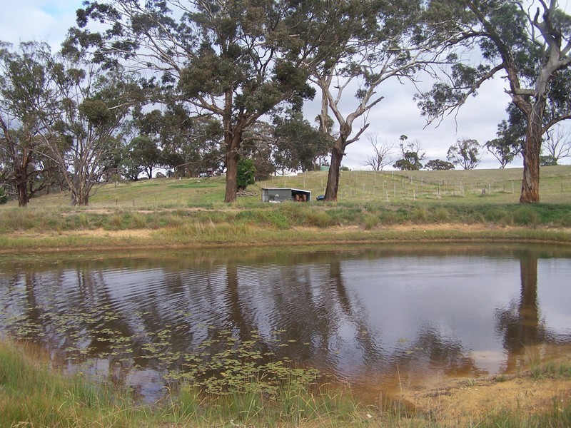 Lot 1 Suffolk Street, Binda NSW 2583