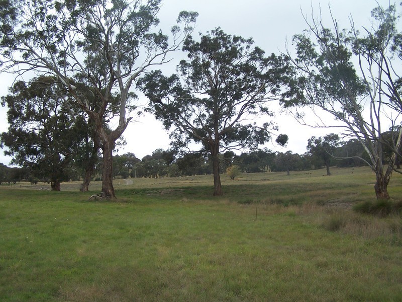 Lot 1 Suffolk Street, Binda NSW 2583