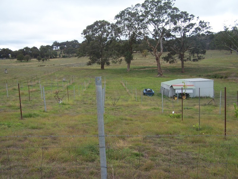 Lot 1 Suffolk Street, Binda NSW 2583