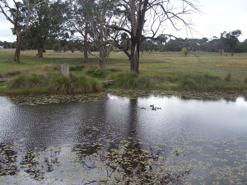 Lot 1 Suffolk Street, Binda NSW 2583
