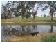 Lot 1 Suffolk Street, Binda NSW 2583
