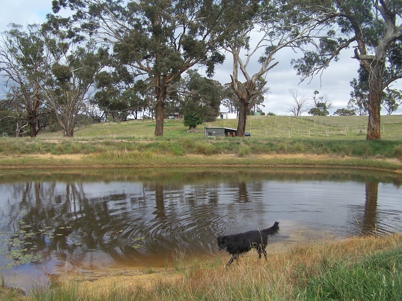 Lot 1 Suffolk Street, Binda NSW 2583