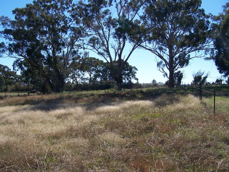 5 Medway Street, Dalton NSW 2581