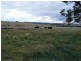 258 Dawsons Creek Road, Crookwell NSW 2583