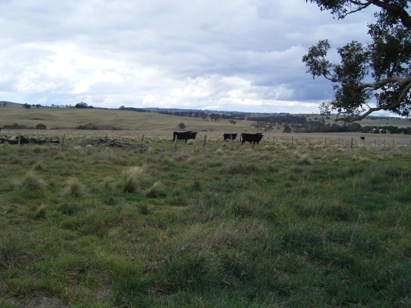 258 Dawsons Creek Road, Crookwell NSW 2583