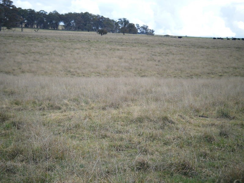258 Dawsons Creek Road, Crookwell NSW 2583