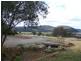 140 Gorman Road, Goulburn NSW 2580