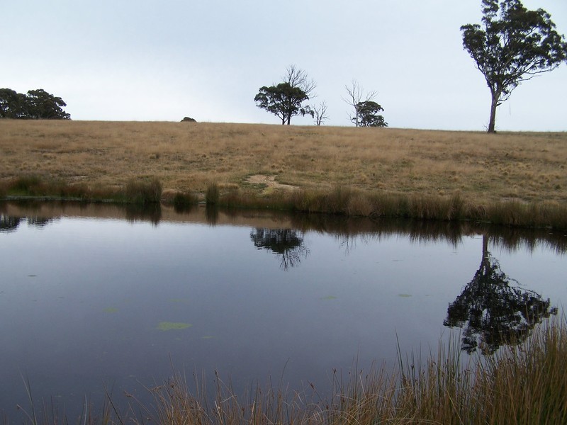 64 Curlewin Lane, Goulburn NSW 2580