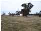 64 Curlewin Lane, Goulburn NSW 2580